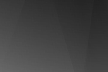 Abstract black and grey on light silver background modern design. Vector illustration eps 10.