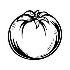 Single Tomato Outline | Black and White Icon | Solanum Lycopersicum | Food Isolated