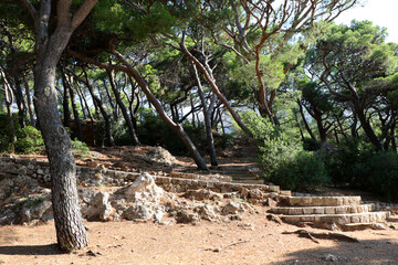 Stone Steps and Pine Forest Trail in Gradac Park, Dubrovnik, Croatia
