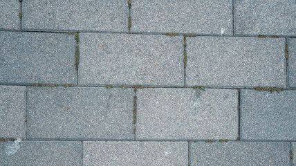 A gray brick wall with a few green plants growing on it