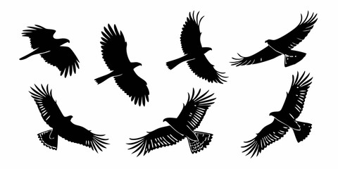 Obraz premium Black Eagle Silhouettes Flying Birds of Prey Wildlife Nature Vector Art Illustration Set