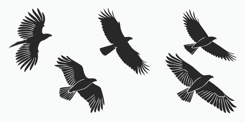 Five Black Eagles Flying Silhouettes Vector Graphic Birds of Prey Raptors Soaring Flight Nature Wildlife Art Illustration Design Image