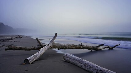Driftwood resting on the sandy beach with waves in the background on a foggy day creating a tranquil coastal scene.