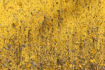 Vivid close-up photo of a yellow painted metal wall with lichn and rust