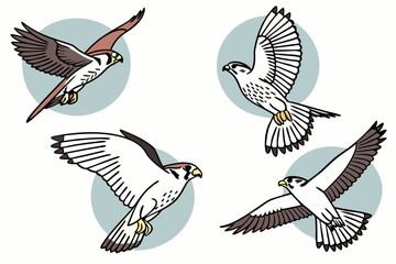 Obraz premium Flying Falcons Hawks Birds Vector Art Wildlife Illustration Light Blue Background