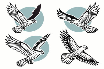 Obraz premium Set of Four Flying Hawk Illustrations Raptors Vector Graphics Black and White Line Art Vintage Retro Tattoo Engraving Style Circular Graphic Design Collection of Hawks