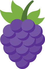 marionberry fruit vector on transparent background