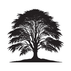 Beech Tree Vector Silhouette, Elegant Forest Tree Outline, Nature-Inspired Clipart for Wall Art, Logos, Stickers, Apparel, Digital Prints, Crafts, Posters, and Home Decor.