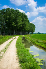 Un tratto della Via Francigena che corre in campagna su una strada bianca seguendo un piccolo canale d'irrigazione