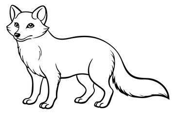 arctic fox silhouette line art vector illustration