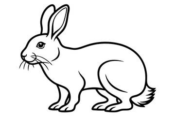 arctic hare silhouette line art vector illustration