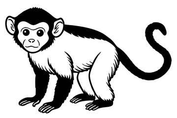 capuchin monkey silhouette line art vector illustration