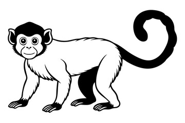 capuchin monkey silhouette line art vector illustration