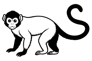 capuchin monkey silhouette line art vector illustration