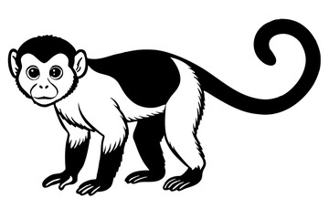 capuchin monkey silhouette line art vector illustration