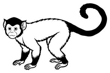 capuchin monkey silhouette line art vector illustration