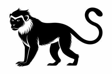 capuchin monkey silhouette line art vector illustration