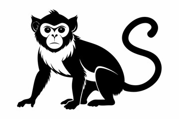 capuchin monkey silhouette line art vector illustration