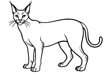 caracal silhouette line art vector illustration