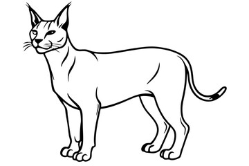 caracal silhouette line art vector illustration