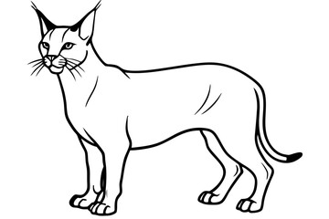 caracal silhouette line art vector illustration