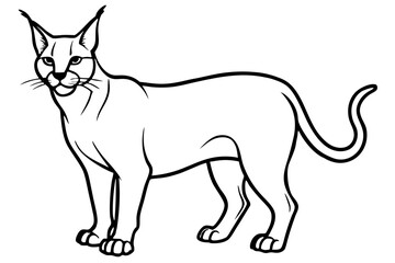 caracal silhouette line art vector illustration