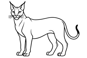 caracal silhouette line art vector illustration
