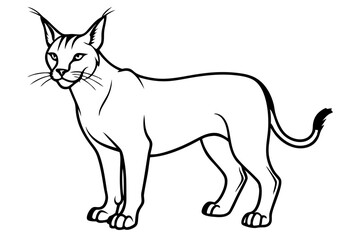 caracal silhouette line art vector illustration