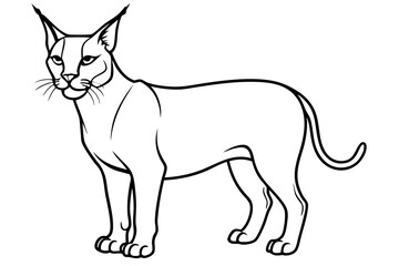 caracal silhouette line art vector illustration