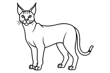 Fototapeta premium caracal silhouette line art vector illustration
