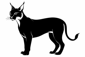 caracal silhouette line art vector illustration