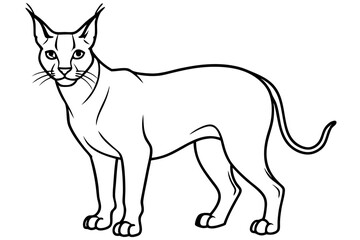 caracal silhouette line art vector illustration