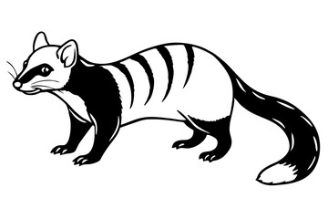 civet silhouette line art vector illustration