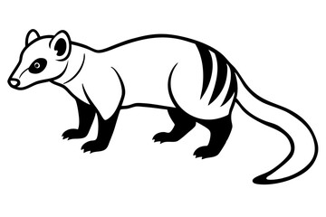 coati silhouette line art vector illustration