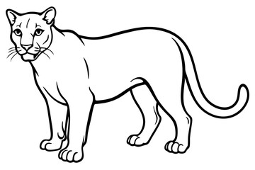 cougar silhouette line art vector illustration