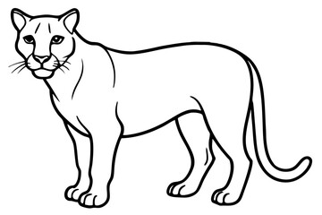 cougar silhouette line art vector illustration