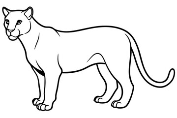 cougar silhouette line art vector illustration