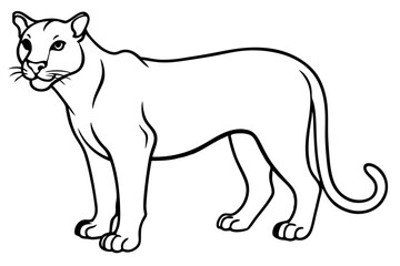 cougar silhouette line art vector illustration