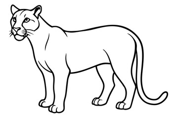 cougar silhouette line art vector illustration