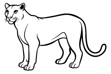 cougar silhouette line art vector illustration