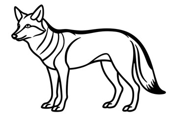 coyote silhouette line art vector illustration