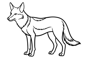coyote silhouette line art vector illustration