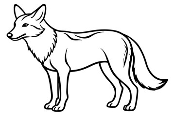 coyote silhouette line art vector illustration
