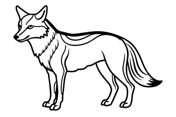 coyote silhouette line art vector illustration