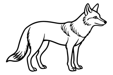 coyote silhouette line art vector illustration