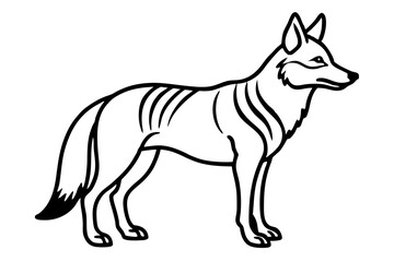 coyote silhouette line art vector illustration