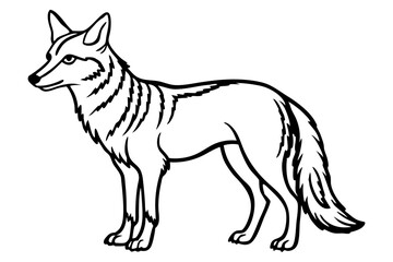 coyote silhouette line art vector illustration