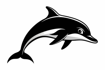 dusky dolphin silhouette line art vector illustration