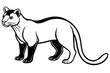 fossa silhouette line art vector illustration