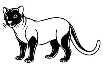 fossa silhouette line art vector illustration